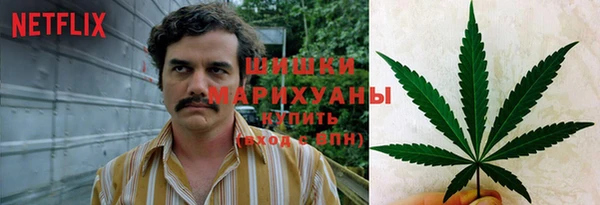 мескалин Ельня