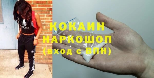 spice Елизово