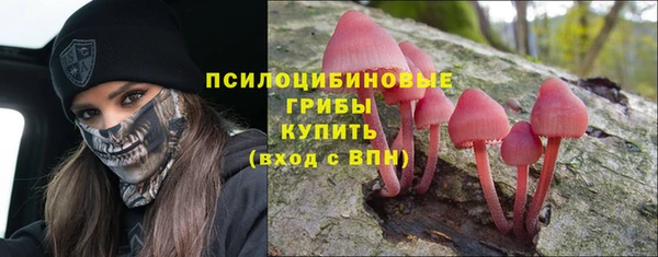 spice Елизово