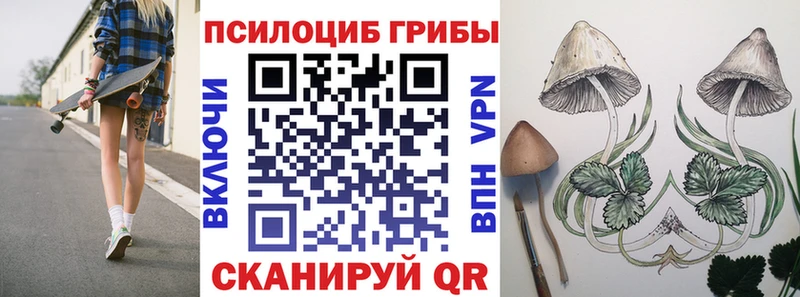 Псилоцибиновые грибы Cubensis  Змеиногорск 